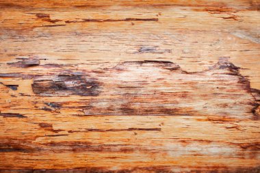 arka plan kesilmiş çatlamış ağaç sıcak kahverengi tonlarda
