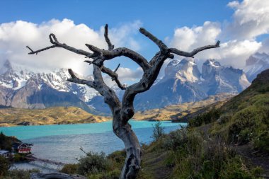 Patagonya 'daki Torres del Paine' deki Pehoe Gölü Ulusal Parkı