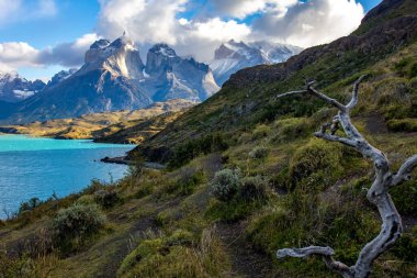 Patagonya 'daki Torres del Paine' deki Pehoe Gölü Ulusal Parkı