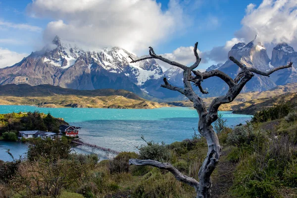 Jezioro Pehoe w chilijskim parku narodowym Torres del Paine w Patagonii — Zdjęcie stockowe