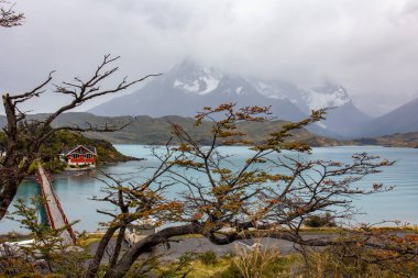 Pehoe Gölü ve adası. Torres del Paine Ulusal Parkı, Patagonya, Şili