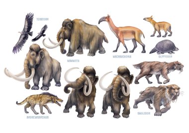 Collection of watercolor prehistoric animals isolated on a white background clipart