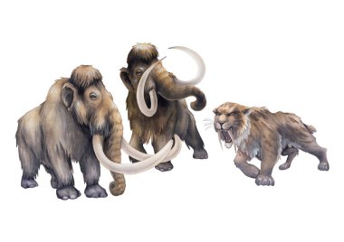 Watercolor art of a prehistoric saber-toothed cat growling on a two frightened mammoths. clipart