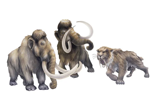 Watercolor art of a prehistoric saber-toothed cat growling on a two frightened mammoths. — Zdjęcie stockowe