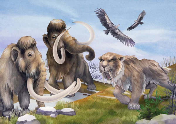 Watercolor art of a prehistoric saber-toothed cat growling on a two frightened mammoths. — 스톡 사진