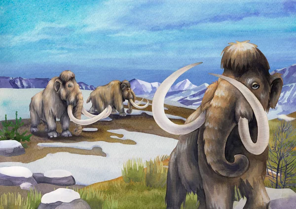 Karlı bir dağ manzarasında yürüyen suluboya mamutlar — Stok fotoğraf