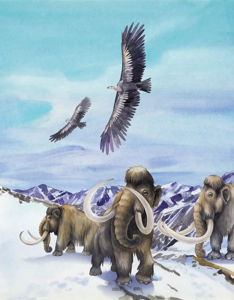 Watercolor mammoths walking in a snowy mountain landscape — 스톡 사진