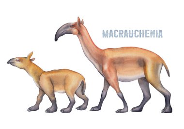 Beyaz arka planda izole edilmiş suluboya yürüyen makrofenyalar ve çocuk