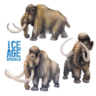Watercolor collection of mammoths isolated on white background. clipart