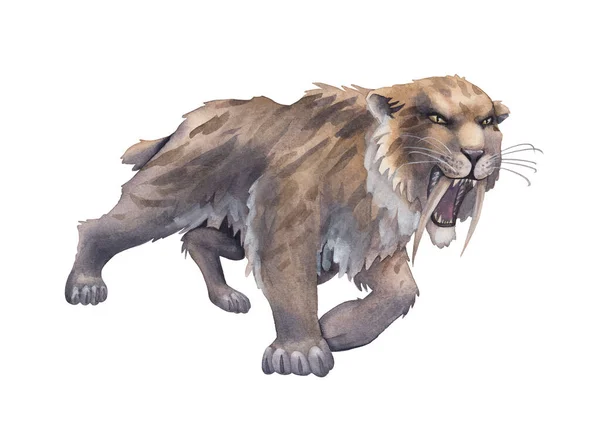 Watercolor saber-toothed cat isolated on white background. — Fotografia de Stock