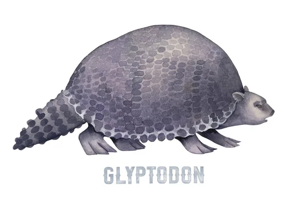 Prehistoryczny gliptodon akwarelowy izolowany na białym tle. — Zdjęcie stockowe