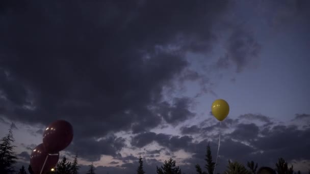 Luftballons Nachthimmel — Stockvideo