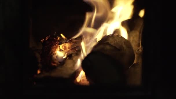 Burning Tree Stumps Stove Clouse Shot — 图库视频影像