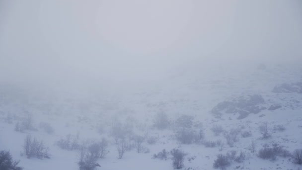 Noche Nevada Niebla Vista Aérea — Vídeos de Stock