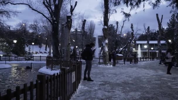 Vista Nocturna Del Parque Con Cisnes Patos — Vídeos de Stock