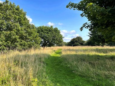 Tarlalardan geçen patika, öğleden sonra Saltaire, Bradford, İngiltere yakınlarında.