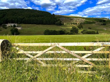 Kırsal manzara, bir çiftlik kapısının üzerinde, yakınındaki tarlalar, ağaçlar ve tepeler, Ramsgill, Pateley Köprüsü, İngiltere