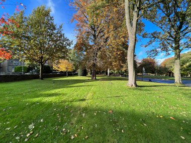 Parkın manzarası, yeşil çimenler, eski ağaçlar ve yakınlardaki Viktorya dönemi evleri, Lister Park, Bradford, İngiltere