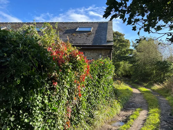 Winding Cart Track Wild Plants Old Building Calverley Leeds — Stock Photo, Image