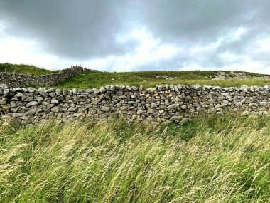 Kuru taştan bir duvarı ve Yorkshire Dales, Skipton, Yorkshire, İngiltere yakınlarındaki bataklıklarda ağır bulutları olan uzun otlar.