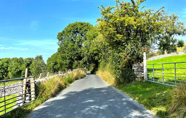 Yorkshire Dales Landstraße Mit Alten Bäumen Und Feldern Die Nach — Stockfoto
