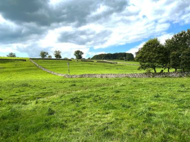 Geniş tarlaları ve kuru taş duvarları olan kırsal bir yer. Bulutlu bir günde Slaidburn, Clitheroe, İngiltere.