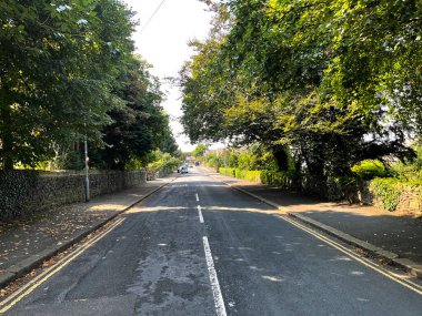 Kendall Bulvarı 'na bakıyorum. Eski ağaçlar ve Saltaire, Bradford, İngiltere yakınlarındaki uzak evler.