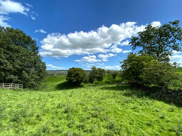 Vista Sul Paesaggio Sulla Campagna Dello Yorkshire Dales Con Alberi — Foto Stock