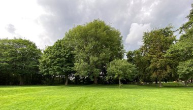 Huzurlu yeşil alan, ağaçlar, çimenler ve yakınındaki ağır bulutlar, Bradford, Yorkshire, İngiltere
