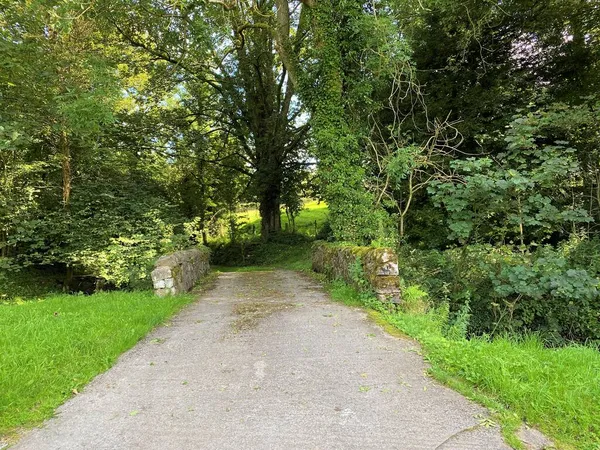 Voie Campagne Étroite Cul Sac Menant Hellifeld Road Avec Vieux — Photo