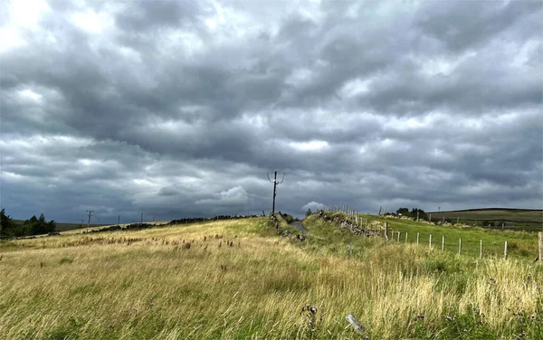 Chuva Forte Sobre Gall Lane Com Gramíneas Selvagens Paredes Pedra — Fotografia de Stock