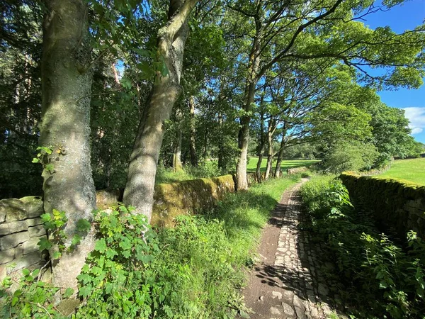 Schmaler Fußweg Mit Alten Bäumen Und Trockenmauern Der Nähe Des — Stockfoto