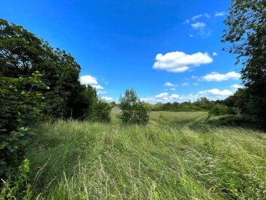 Shipley, Bradford, İngiltere 'nin eteklerinde uzun otlar ve ağaçlarla kaplı tarlaların arasındaki patika.
