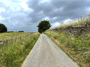 Vahşi bitkiler, kurumuş taş duvarlar ve şiddetli yağmur bulutları olan kır yolu, West Morton, Keighley, İngiltere