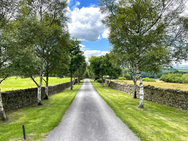 Country Road Lined Trees Leading Farnley Lane Bland Hill Harrogate — Stock Photo, Image