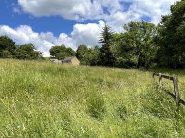 Eğimli çayır, uzun otlar, eski ağaçlar ve yakınlardaki evler, Burnley Yolu, Holme Şapeli, İngiltere