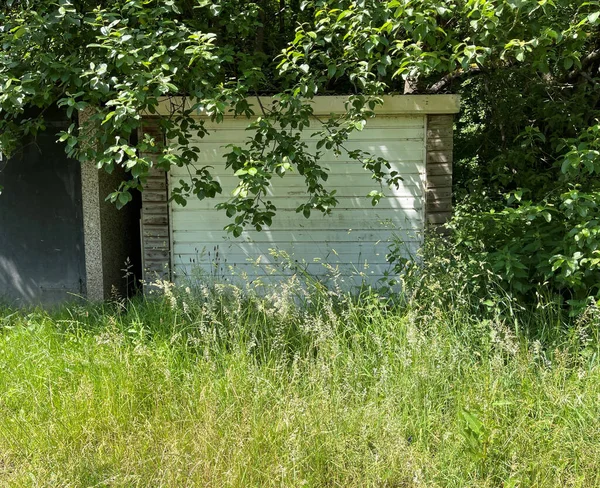 Garage Vide Envahi Par Longues Herbes Des Arbres Près Todmorden — Photo