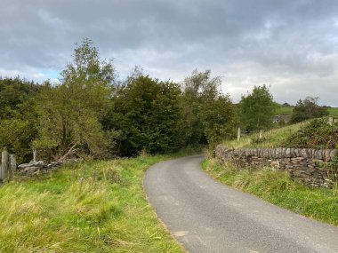Kennel Yolu boyunca, yabani otlar, bitkiler, ağaçlar ve bulutlu gökyüzü, Sowerby Köprüsü, Halifax, İngiltere