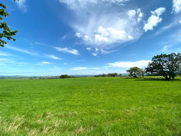 Large Grassy Plain Trees Distant Fields Lancashire Countryside Paythorne Clitheroe — Stock Photo, Image