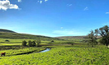 Manzara manzarası, River Skirfare, ve yakınındaki geniş arazi ve tepeler, Halton Gill, Skipton, İngiltere
