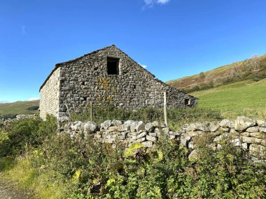 Eski boş taş ahır, yabani bitkiler, kurumuş taş duvarlar, ve canlı mavi gökyüzü, yakınlardaki Yorkshire Dales, Litton, Skipton, İngiltere