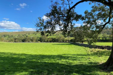 Yorkshire Dales arazisi, tarlaların arasından Kilnsey, Skipton, İngiltere yakınlarındaki kırlara bakıyor.