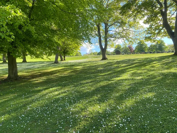 Park Landscape Lister Park Bradford Yorkshire England Spring Afternoon — стокове фото