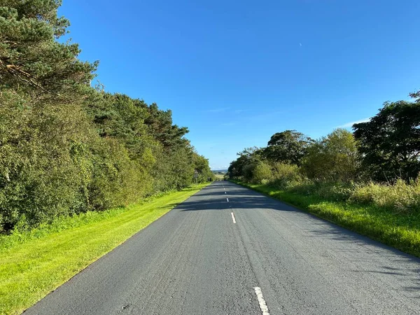 View B6451 Road Lined Trees Set Bivid Blue Sky Harrogate — Stock fotografie