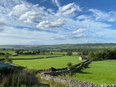 Manzara manzarası, tarlalar, kuru taş duvarlar, çayırlar ve tepeler, West Witton, Leyburn, İngiltere