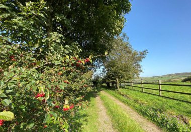 Pike End Yolu 'ndan gelen araba rayları, ağaçlar, tarlalar ve Ripponden, İngiltere yakınlarındaki uzak tepeler.
