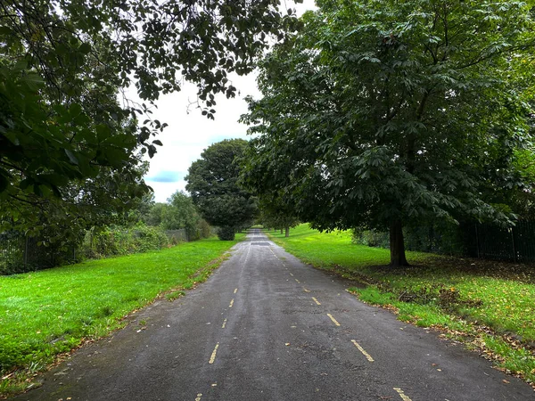 Sentiero Pedonale Del Parco Vuoto Con Erba Alberi Secolari Una — Foto Stock