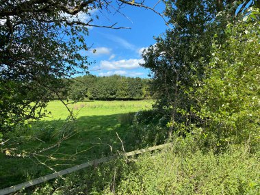 Çitin ötesine, bir çiftçi tarlasına, bitişiğinde de Havuz Yolu, Otley, İngiltere 'ye bakın.