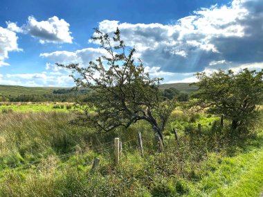 Dağlarda parçalanmış bulut, çayırlarda, ormanlarda ve uzak kırlarda Newton, Slaidburn, İngiltere