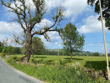 Kirk Lane 'den yan manzara, ağaçlar, tarlalar ve Eastby, Skipton, İngiltere yakınlarındaki uzak tepeler.
